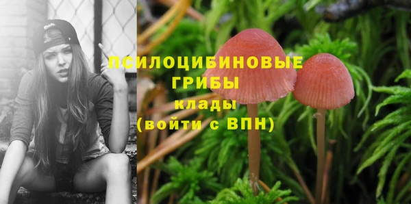 шишки Россошь