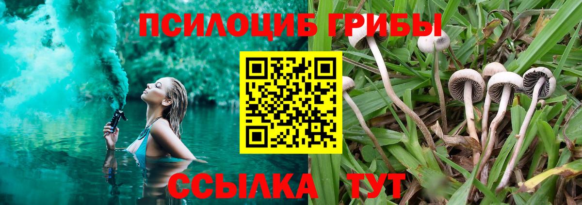 Галлюциногенные грибы мицелий Людиново
